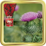 Flower of Scotland tin image