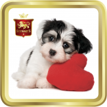 Puppy Love tin image