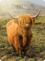 Highland Cow tin image